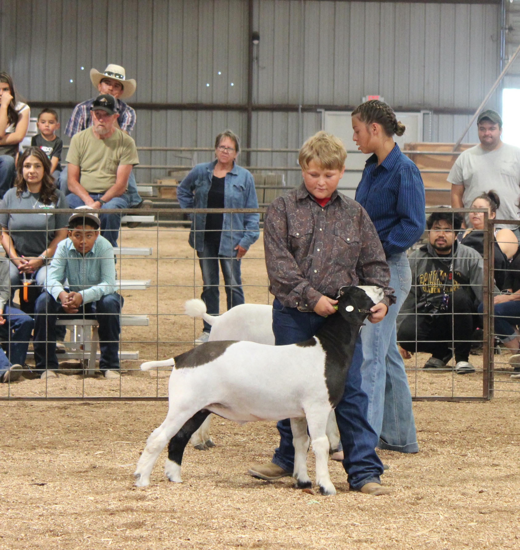 Taos County Fair 2024 Jr Livestock Show-Goat Display-Juan I. Gonzales Agricultural Center-Taos, NM